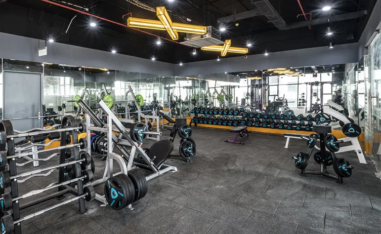 The Light Fitness & Yoga